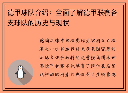 德甲球队介绍：全面了解德甲联赛各支球队的历史与现状